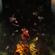 Image for article titled The Art Of Destiny 2: The Witch Queen
